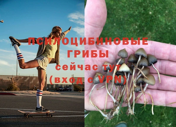 соль ск Абдулино