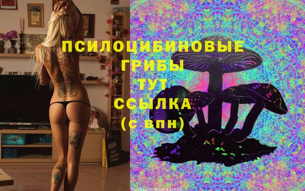 ПСИЛОЦИБИНОВЫЕ ГРИБЫ Алексин