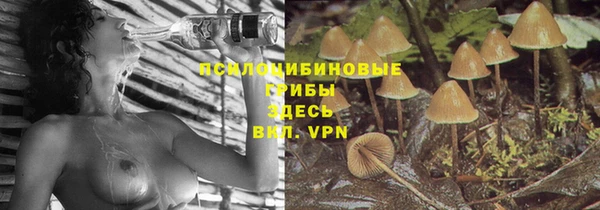 соль ск Абдулино