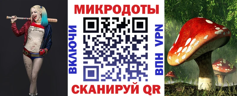 Галлюциногенные грибы Psilocybe дарнет шоп hydra как зайти Болгар