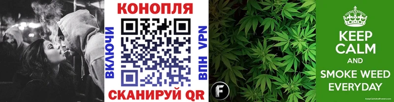Бошки марихуана гибрид  Болгар 